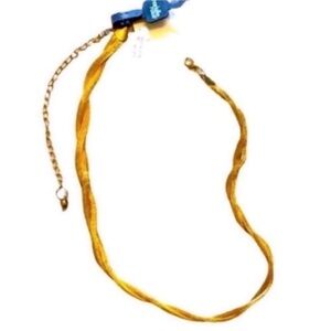 Charlotte Russe Belt